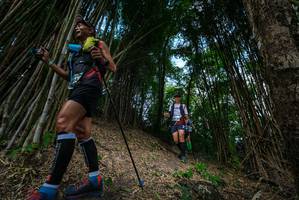 BIB: 
                            <button type="button" onclick="openModal(19395660)" class="btn btn-primary btn-sm float-right btn-popup" data-toggle="modal" data-target=".modal-high-quality">
                        <i class="fas fa-shopping-cart"></i> Add to Cart
                    </button>
                                            <button type="button" onclick="isThisMe(19395660, true)" class="btn btn-success btn-sm float-right btn-popup btn-isme hidden" data-toggle="tooltip" data-placement="bottom" title="นี่คือรูปของคุณใช่ไหม คลิกที่นี่เพื่อเอาเข้าอัลบั้ม">
                        <i class="fas fa-plus"></i> Add to album
                    </button>
                    <button type="button" onclick="isThisMe(19395660, false)" class="btn btn-warning btn-sm float-right btn-popup btn-isnotme hidden">
                        <i class="fas fa-ban"></i> Remove from album
                    </button>